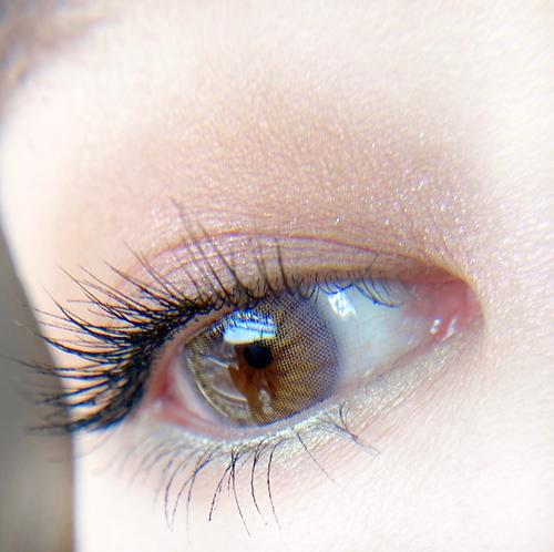 1ヶ月カラコンおすすめ通販poplens ラベンダーゴールドカラコン Lavender Gold